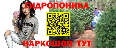 каннабис Краснознаменск