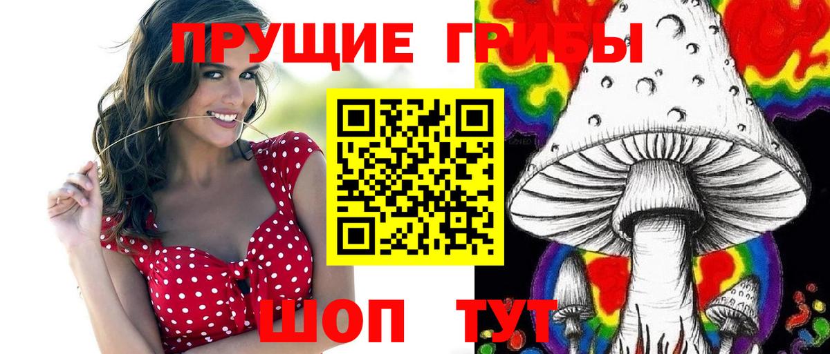 Галлюциногенные грибы прущие грибы Котовск