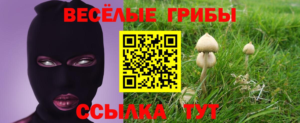 как найти закладки  Галлюциногенные грибы Psilocybe  Вход с VPN  Котовск 